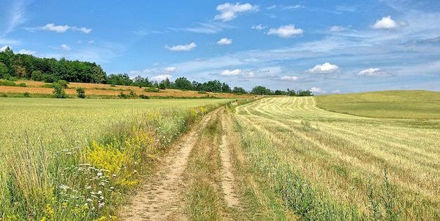 Foto landschaftliche landschaft vor blauem himmel