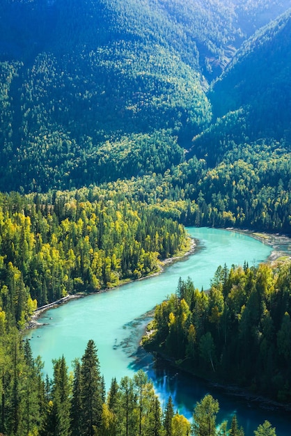 Foto landschaftliche sicht auf den see durch bäume im wald