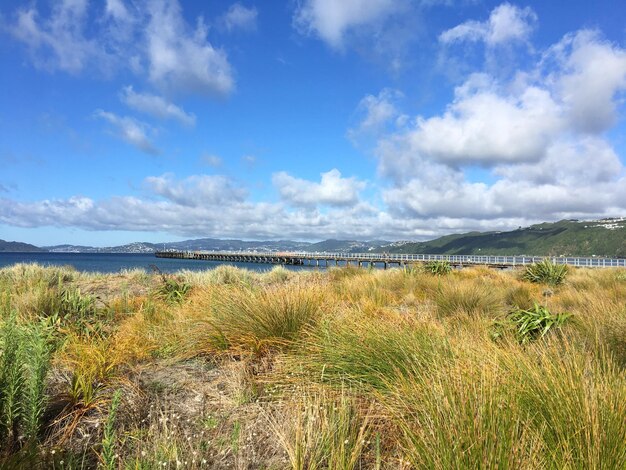 Landschaftlicher Blick auf das Meer gegen den Himmel