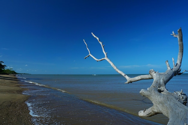 Landschaftlicher Blick auf das Meer vor dem blauen Himmel