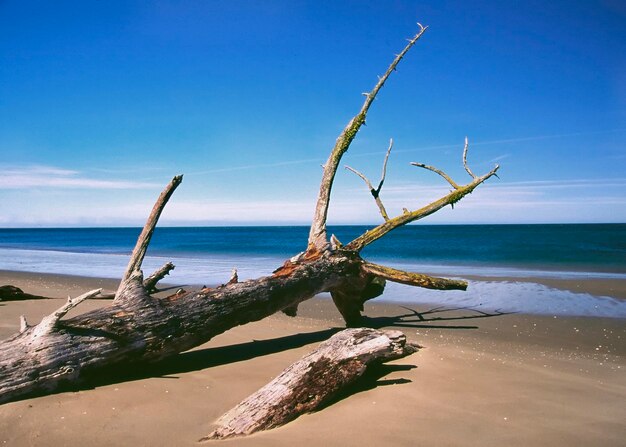 Landschaftlicher Blick auf das Meer vor dem blauen Himmel