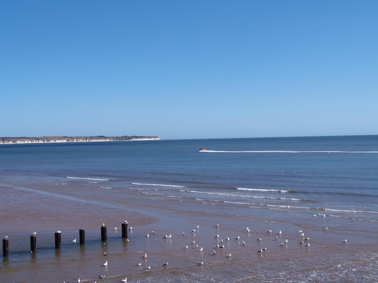 Foto landschaftlicher blick auf das ruhige meer vor klarem himmel