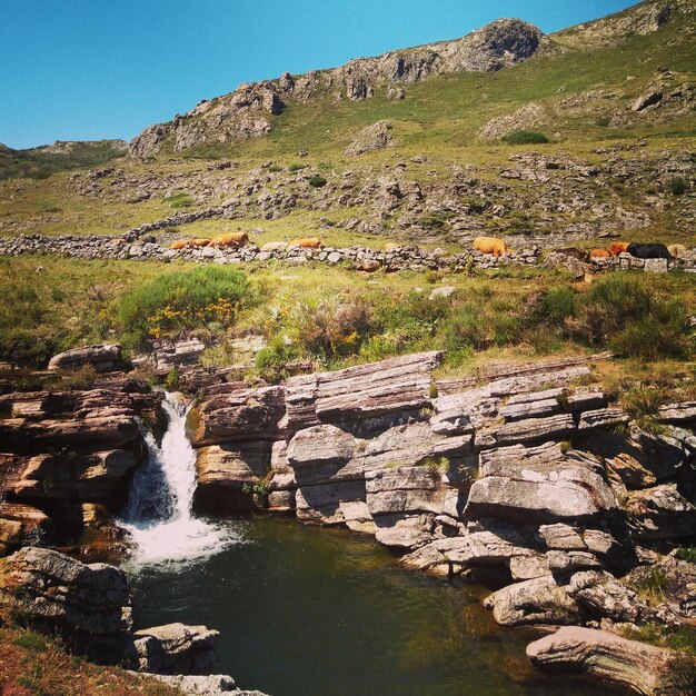 Landschaftlicher Blick auf den Wasserfall vor dem Himmel