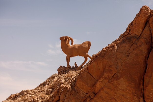 Landschafts-Chebika-Oase in der Sahara-Wüste. Skulptur von RAM auf Hügel. Bergoase mit malerischer Aussicht in Nordafrika. Das Hotel liegt am Fuß des Jebel El Negueba. Atlasgebirge am sonnigen Nachmittag. Tozeur, Tunesien