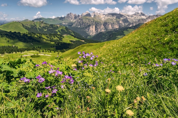 Landschaftsalpen mit grünem Berg unter Himmel