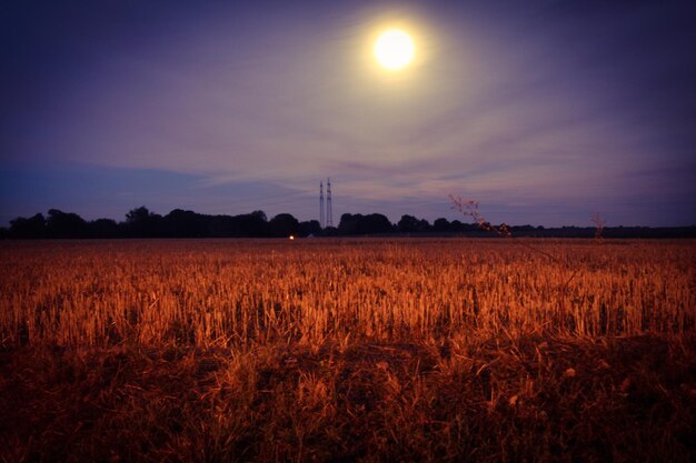 Foto landschaftsansicht auf dem feld gegen den himmel bei sonnenuntergang