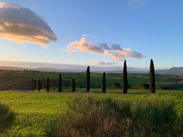 Foto landschaftsansicht auf dem feld gegen den himmel bei sonnenuntergang