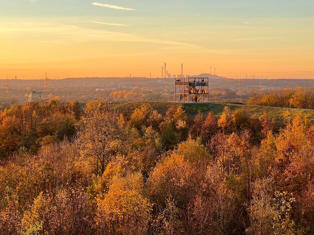 Foto landschaftsansicht auf dem feld gegen den himmel bei sonnenuntergang