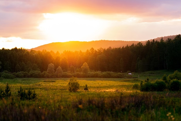 Foto landschaftsansicht auf dem feld gegen den himmel bei sonnenuntergang