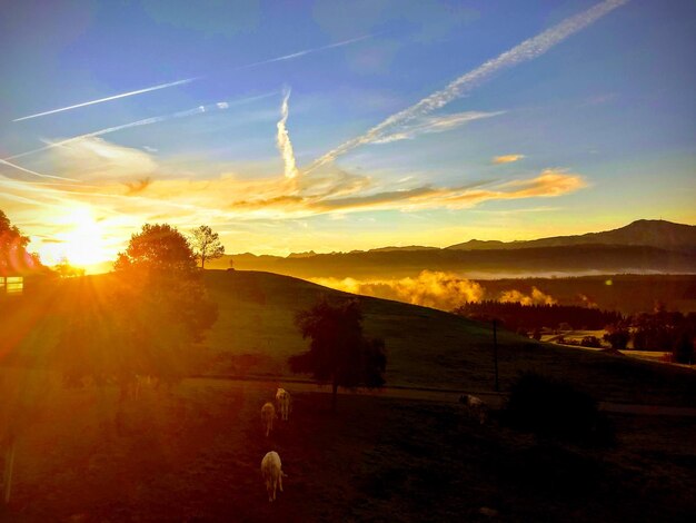 Foto landschaftsansicht auf dem feld gegen den himmel bei sonnenuntergang