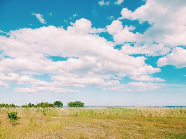 Foto landschaftsansicht auf dem feld vor bewölktem himmel