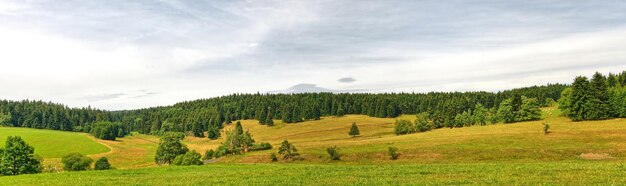 Foto landschaftsansicht auf dem feld vor bewölktem himmel