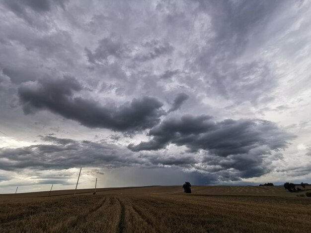 Foto landschaftsansicht auf dem feld vor bewölktem himmel