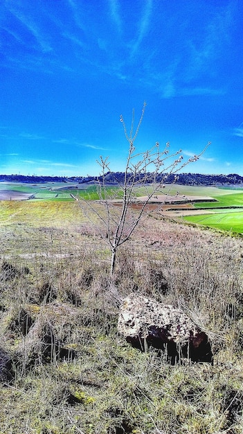 Foto landschaftsansicht auf dem feld vor bewölktem himmel