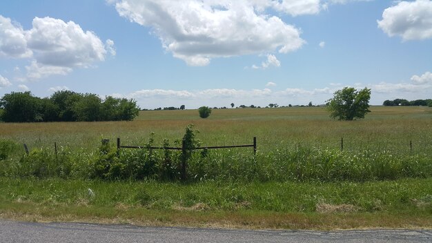 Foto landschaftsansicht auf dem feld vor bewölktem himmel