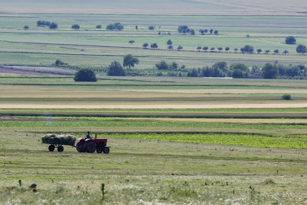 Landschaftsansicht auf den Bauernhof