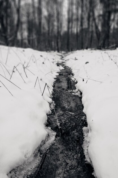 Foto landschaftsansicht auf einem schneebedeckten feld