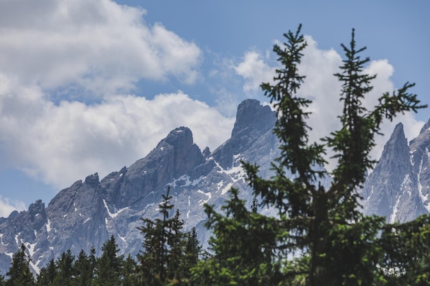 Landschaftsansicht der Alpen Berge Gipfel Tanne im Hintergrund