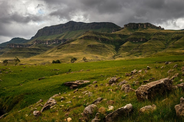 Landschaftsansicht der grünen Landschaft vor dem Himmel