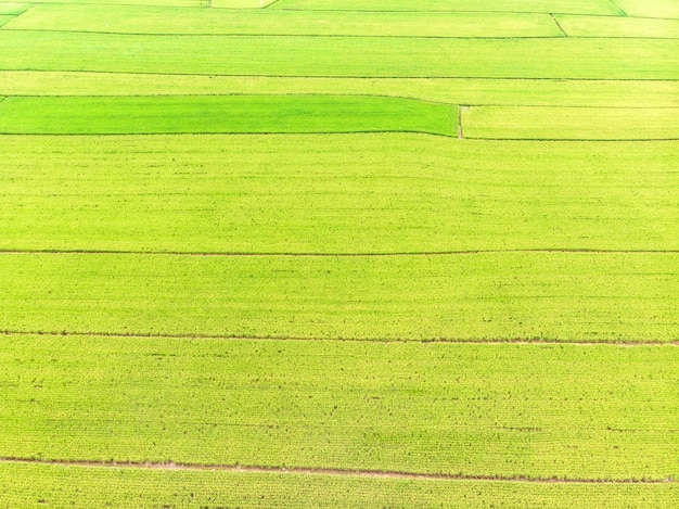 Landschaftsansicht der Guandu-Ebene, Taipeh, Taiwan