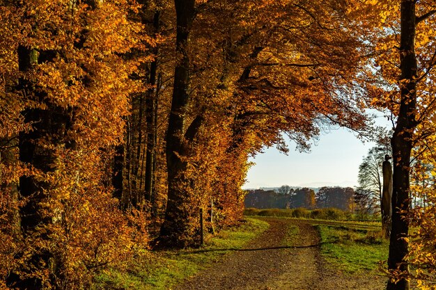 Foto landschaftsansicht der ländlichen landschaft