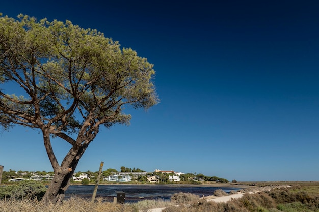 Landschaftsansicht der Sumpfgebiete von Ria Formosa