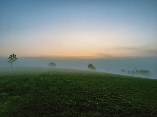 Landschaftsansicht des Feldes gegen den Himmel bei nebligem Wetter