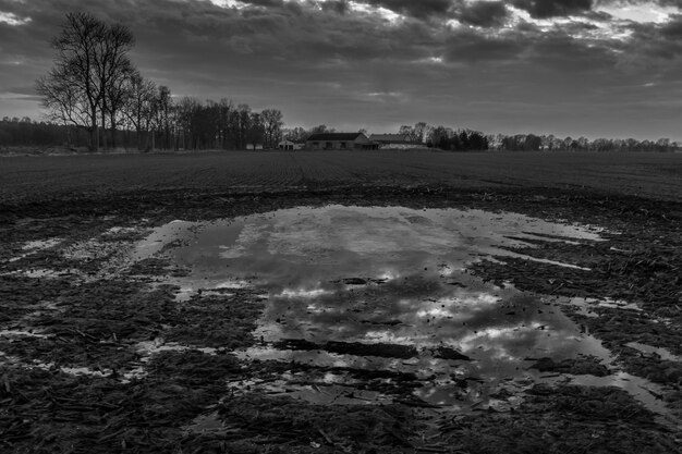 Foto landschaftsansicht des feldes gegen den himmel im winter