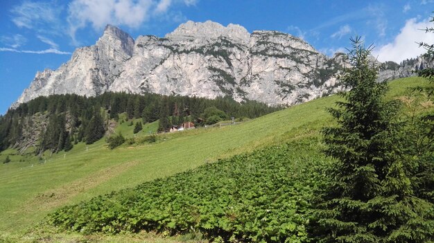 Foto landschaftsansicht des feldes gegen den himmel