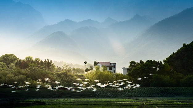Landschaftsansicht des Feldes gegen den Himmel