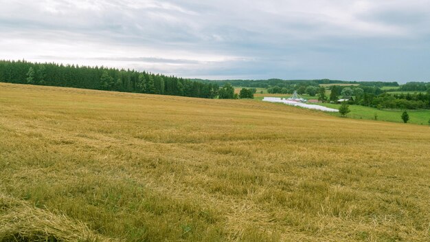 Landschaftsansicht des Feldes gegen den Himmel