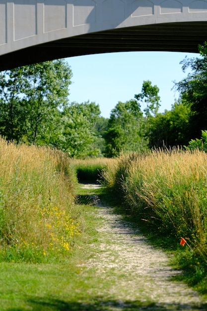 Landschaftsansicht des Feldes gegen den Himmel