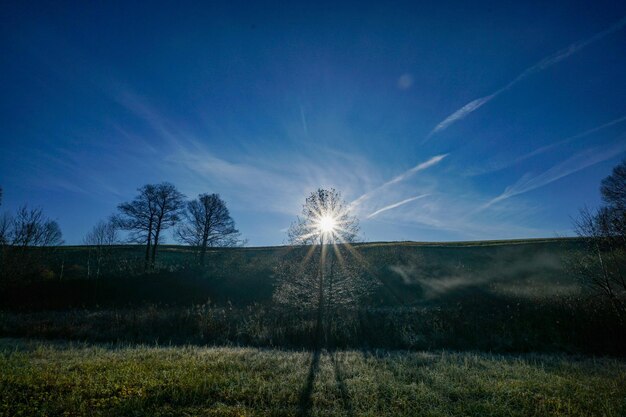 Landschaftsansicht des Feldes gegen den Himmel