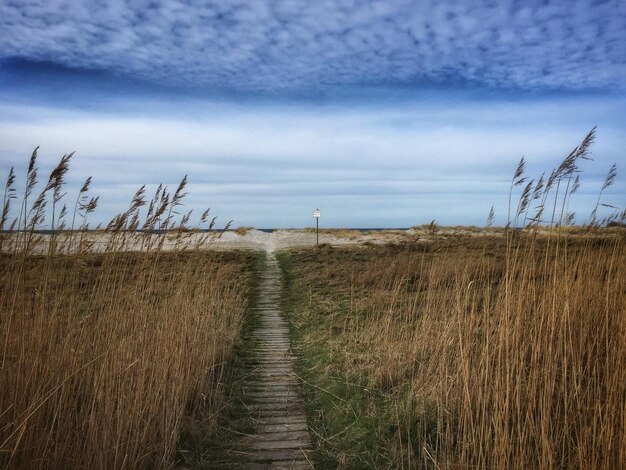 Foto landschaftsansicht des feldes gegen den himmel