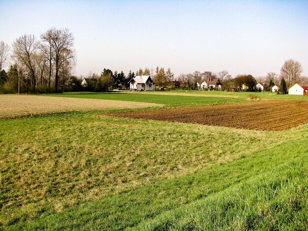 Landschaftsansicht des Feldes gegen den Himmel