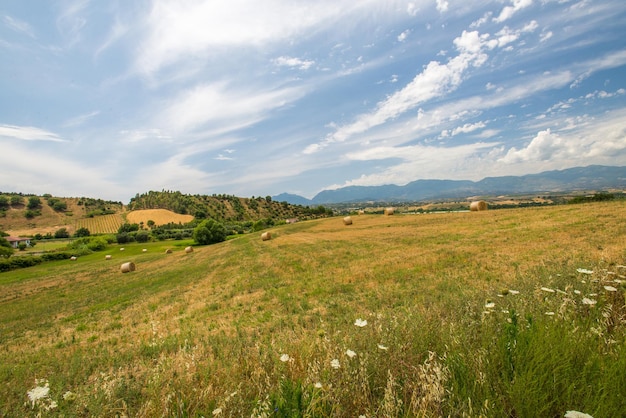 Foto landschaftsansicht des feldes gegen den himmel