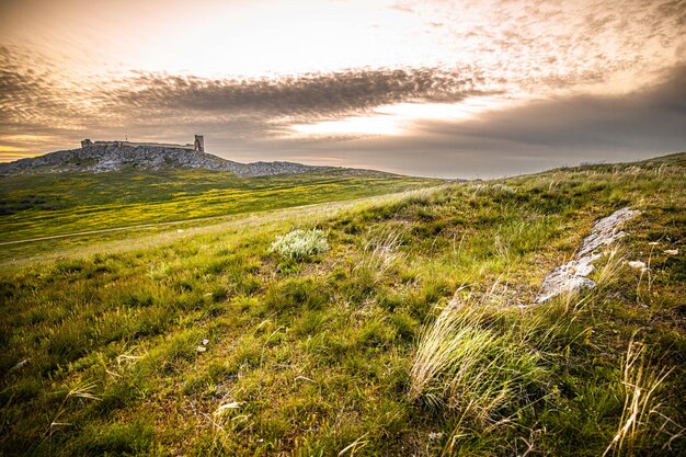 Foto landschaftsansicht des feldes gegen den himmel