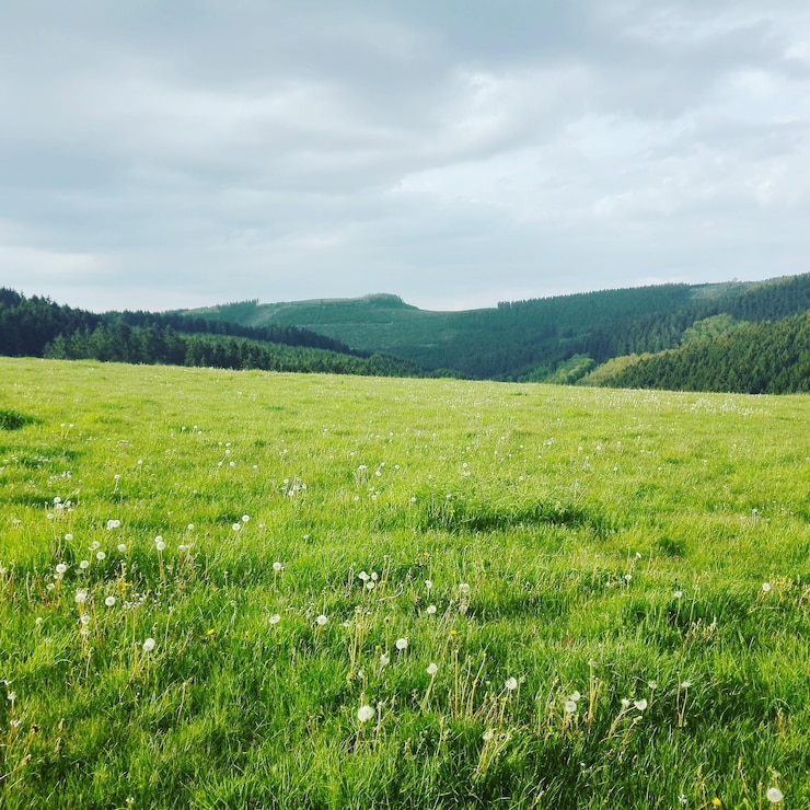 Foto landschaftsansicht des feldes gegen den himmel