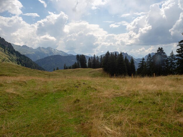 Landschaftsansicht des Feldes gegen den Himmel