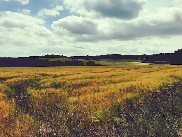 Foto landschaftsansicht des feldes gegen den himmel