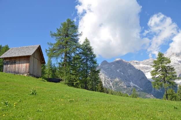 Landschaftsansicht des Feldes gegen den Himmel