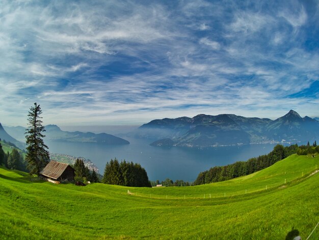 Foto landschaftsansicht des feldes gegen den himmel