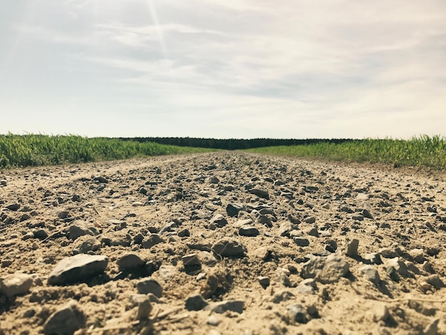 Foto landschaftsansicht des feldes gegen den himmel