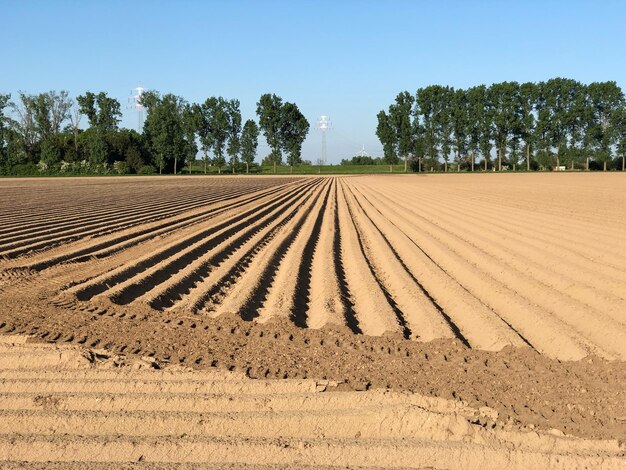 Foto landschaftsansicht des feldes gegen den himmel