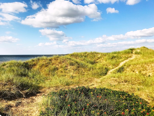 Foto landschaftsansicht des feldes gegen den himmel