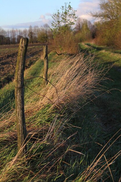 Foto landschaftsansicht des feldes gegen den himmel