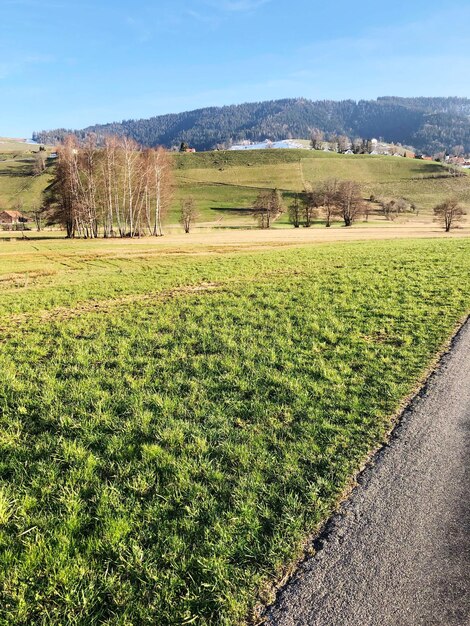 Foto landschaftsansicht des feldes gegen den himmel