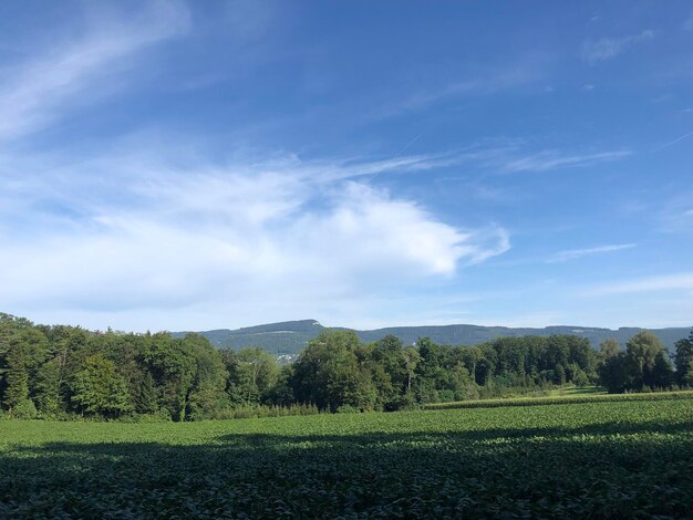 Foto landschaftsansicht des feldes gegen den himmel