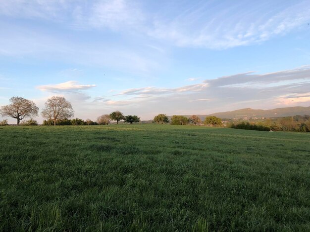 Foto landschaftsansicht des feldes gegen den himmel