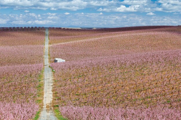 Foto landschaftsansicht des feldes gegen den himmel